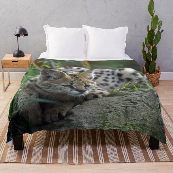 Item preview, Cute Serval Laying Down designed and sold by TheAnimalZ00.