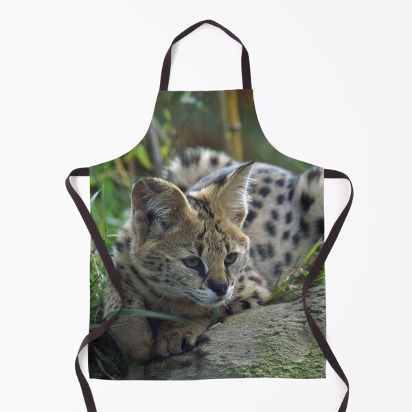 Item preview, Cute Serval Laying Down designed and sold by TheAnimalZ00.