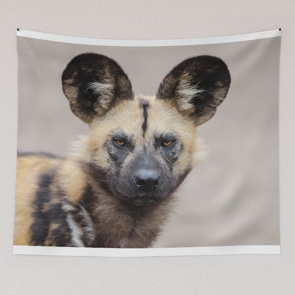 Item preview, African Wild Dog designed and sold by TheAnimalZ00.