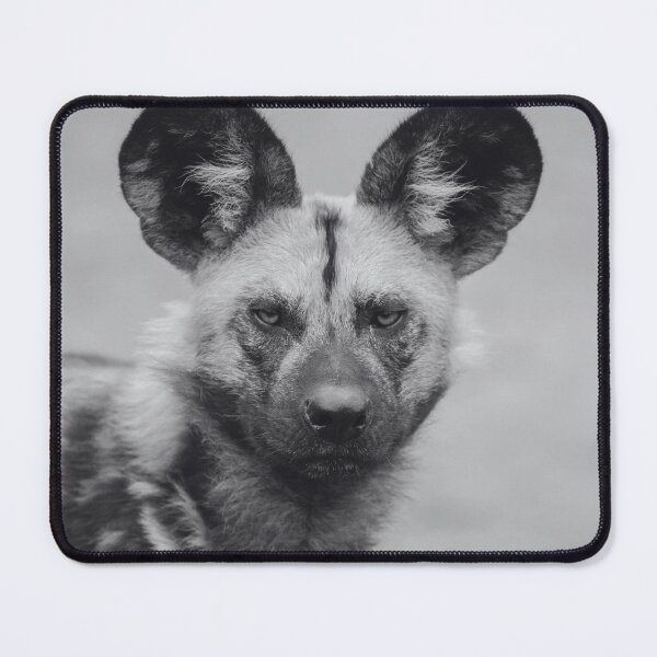 Item preview, Black And White African Wild Dog designed and sold by TheAnimalZ00.