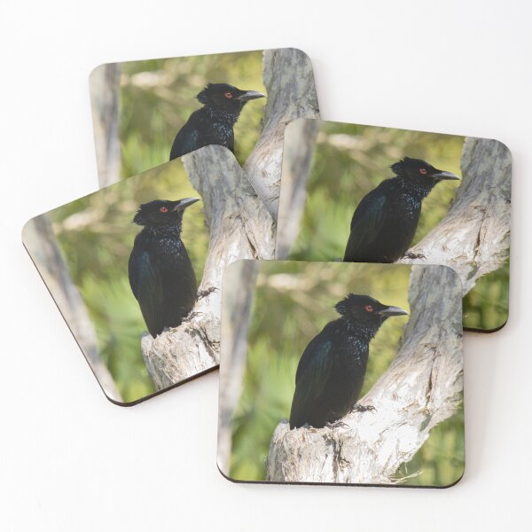 Item preview, Spangled Drongo designed and sold by Matt Vickery.