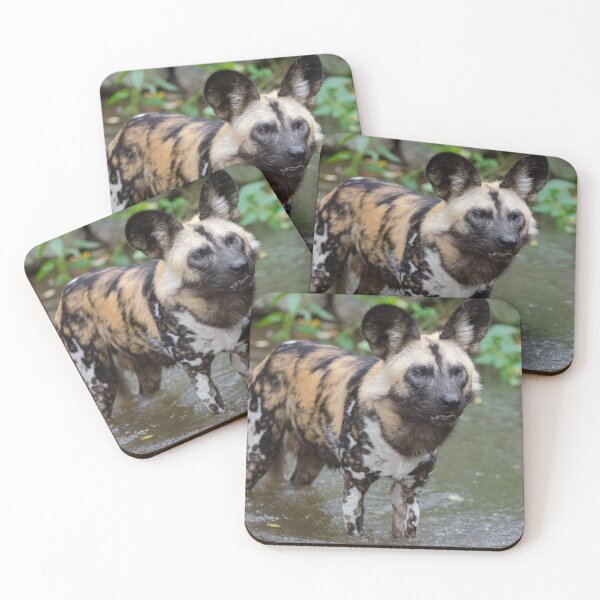 Item preview, Cute African Wild Dog  designed and sold by TheAnimalZ00.