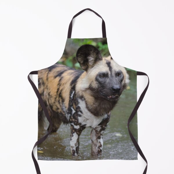 Item preview, Cute African Wild Dog designed and sold by TheAnimalZ00.