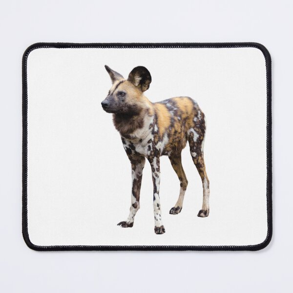 Item preview, African Wild Dog designed and sold by TheAnimalZ00.