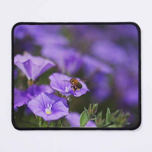 Item preview, The Bee Collecting Day designed and sold by Joy Watson - Natural Light Photography .