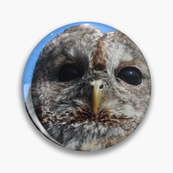 Item preview, Tawny Owl designed and sold by TheAnimalZ00.