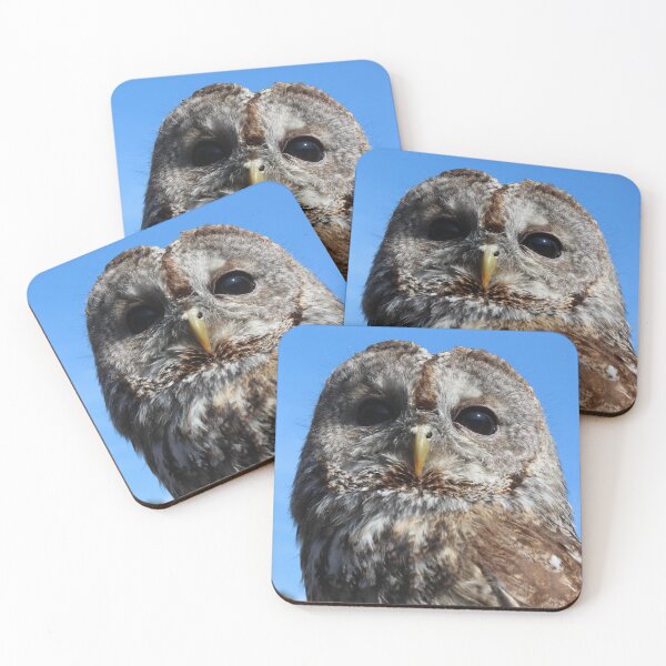 Item preview, Tawny Owl designed and sold by TheAnimalZ00.