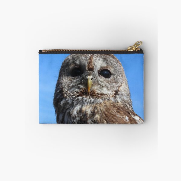 Item preview, Tawny Owl designed and sold by TheAnimalZ00.