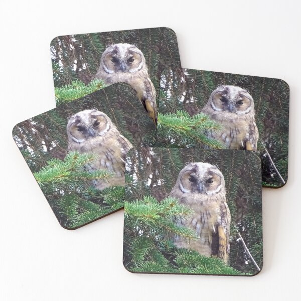 Item preview, Tawny Owl designed and sold by TheAnimalZ00.