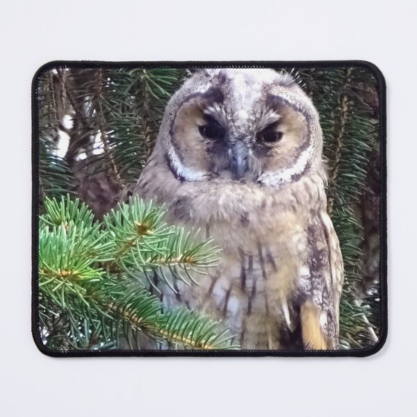 Item preview, Tawny Owl designed and sold by TheAnimalZ00.