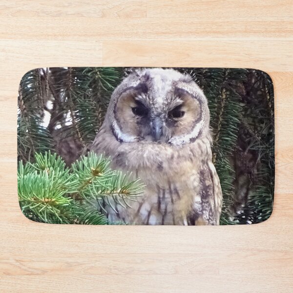 Item preview, Tawny Owl designed and sold by TheAnimalZ00.