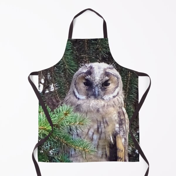 Item preview, Tawny Owl designed and sold by TheAnimalZ00.