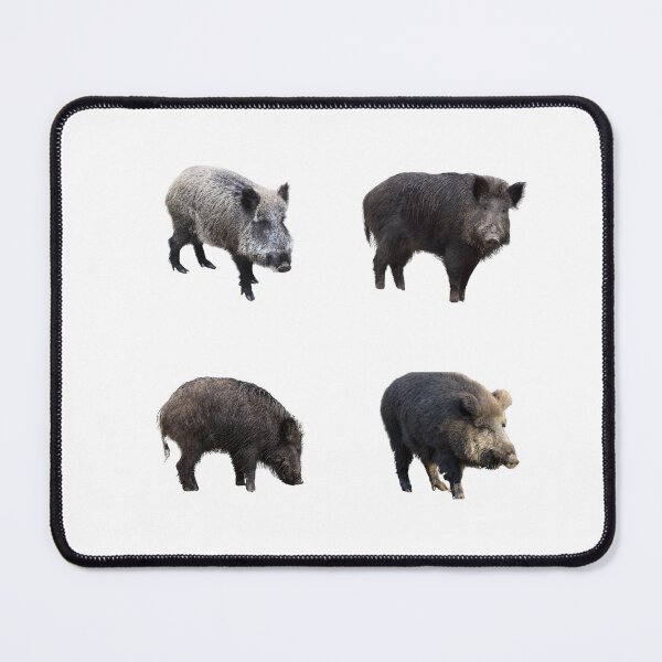 Item preview, Wild Boars designed and sold by TheAnimalZ00.