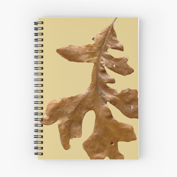 Item preview, Giant Bur Oak Leaf designed and sold by JinjerS.