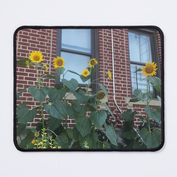 Item preview, sunflowers designed and sold by SnappedbyRivka.