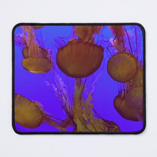 Item preview, Monterey Bay Jellyfish Swimming in the Aquarium designed and sold by DeLucaIdeas.