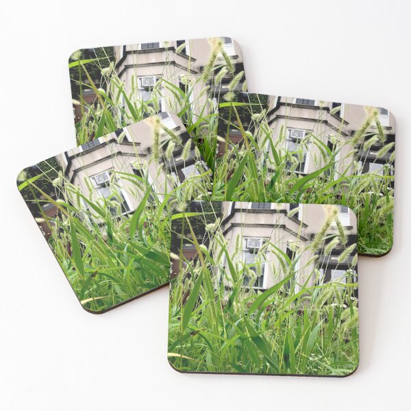 Item preview, growth designed and sold by SnappedbyRivka.