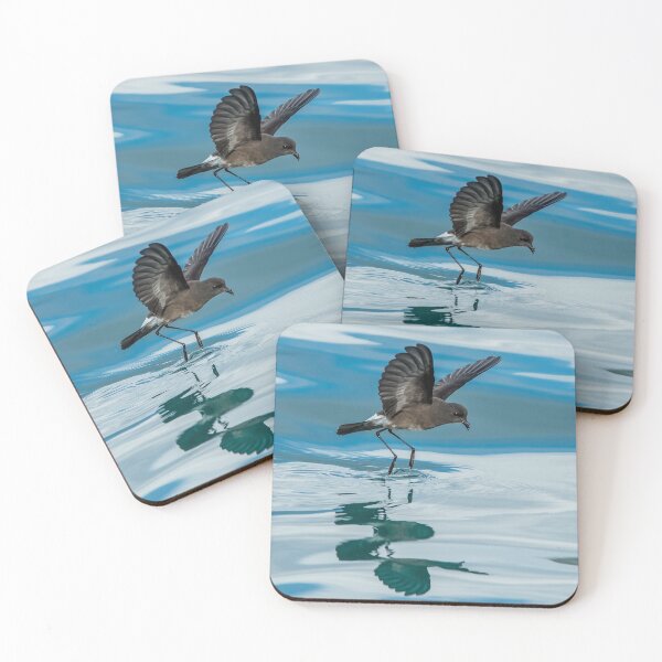 Item preview, White-vented Storm-petrel Galápagos Islands designed and sold by iansmissenphoto.