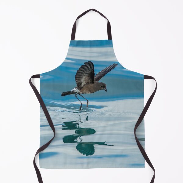 Item preview, White-vented Storm-petrel Galápagos Islands designed and sold by iansmissenphoto.