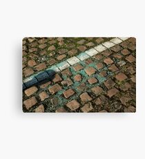 Vandalism Canvas Print