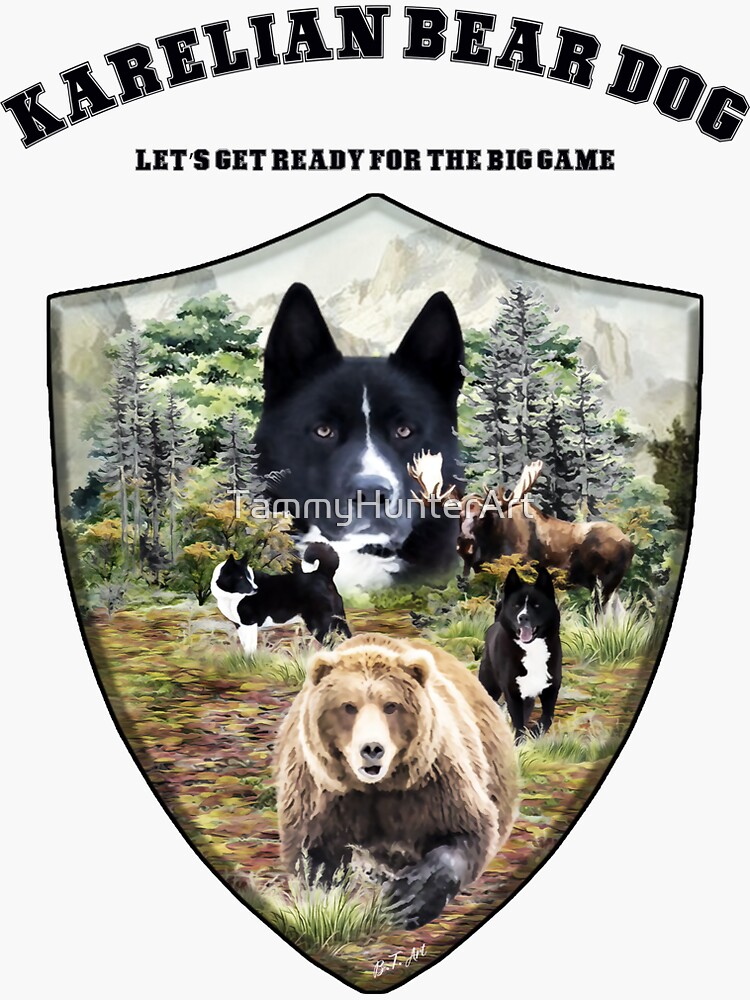 Karelian Bear Dog Grizzly Dog Breed Let's Get Ready For The Big