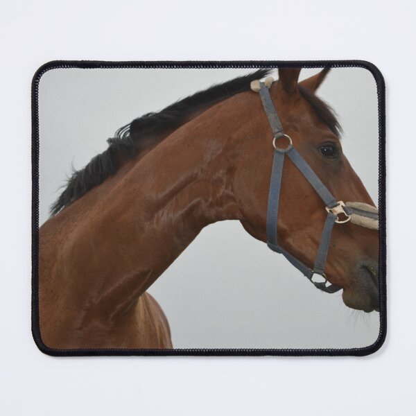 Item preview, Arklys ir turi charakterį designed and sold by GraphicPastel.