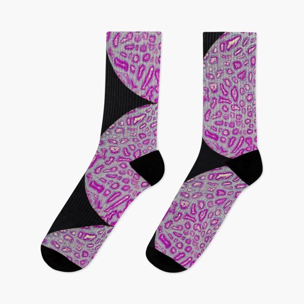Item preview, Histology of stomach, small intestine, AB/PAS, 20x designed and sold by Psymier.