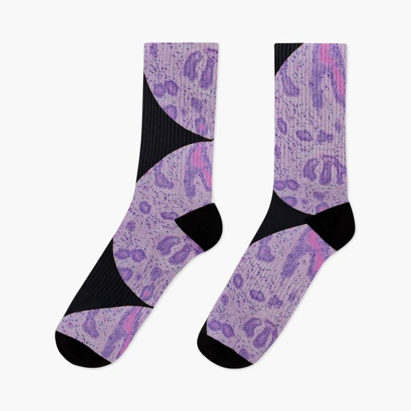 Item preview, Histology of glands, human tissue, H&E, 100x designed and sold by Psymier.