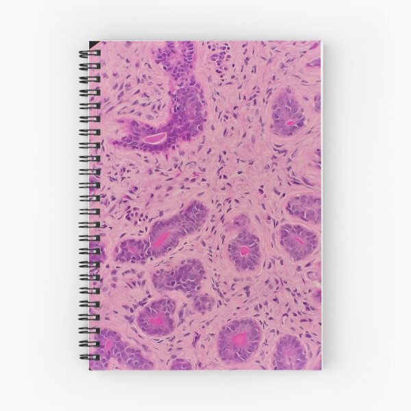 Item preview, Histology of secreting glands, human tissue, H&E, 100x designed and sold by Psymier.