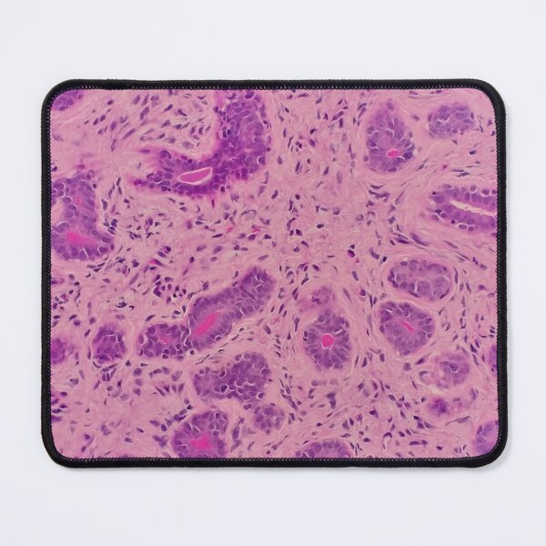 Item preview, Histology of secreting glands, human tissue, H&E, 100x designed and sold by Psymier.