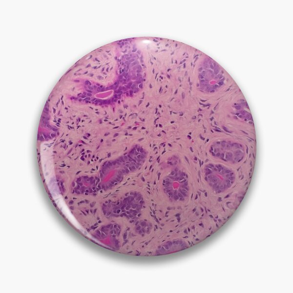 Item preview, Histology of secreting glands, human tissue, H&E, 100x designed and sold by Psymier.