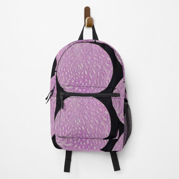 Item preview, Histology of stomach glands, human tissue, H&E, 20x designed and sold by Psymier.