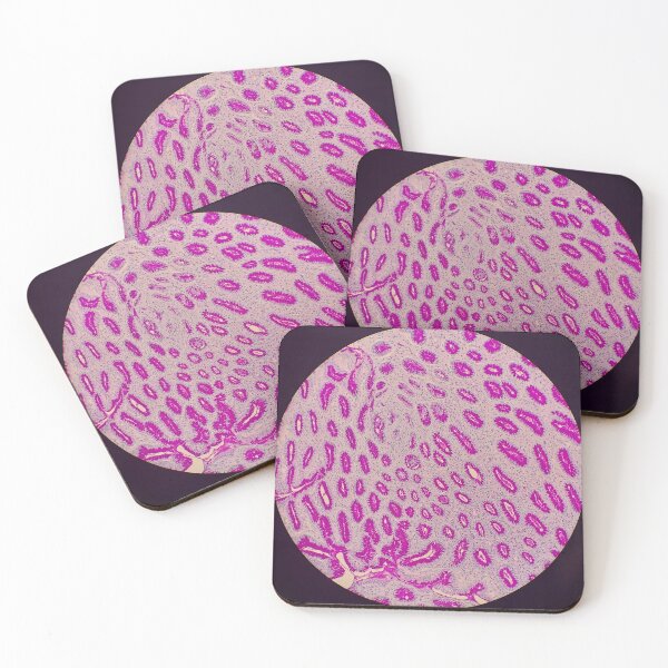 Item preview, Histology of stomach glands, human tissue, AB/PAS, 20x designed and sold by Psymier.