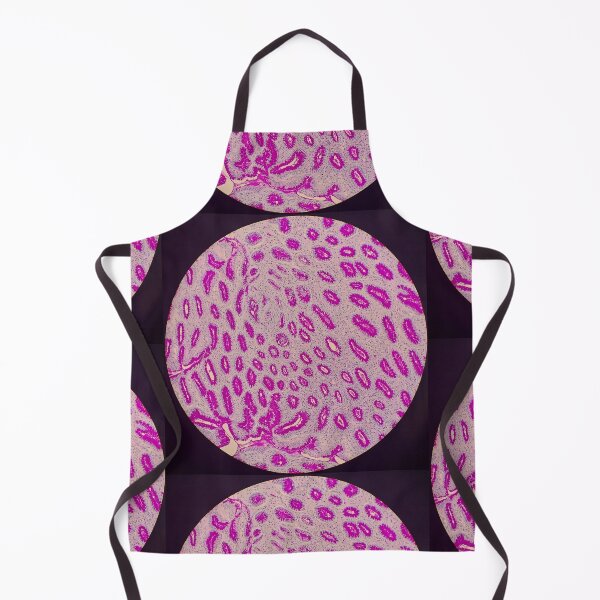 Item preview, Histology of stomach glands, human tissue, AB/PAS, 20x designed and sold by Psymier.