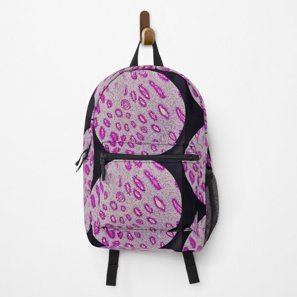 Item preview, Histology of stomach glands, human tissue, AB/PAS, 100x designed and sold by Psymier.