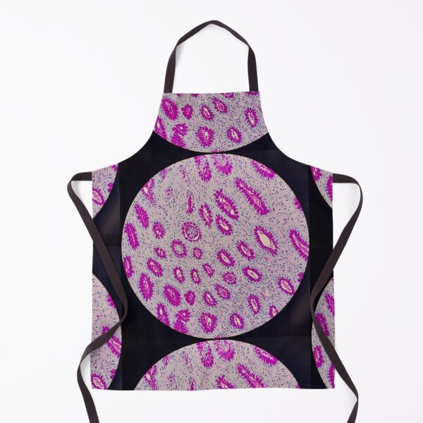 Item preview, Histology of stomach glands, human tissue, AB/PAS, 100x designed and sold by Psymier.