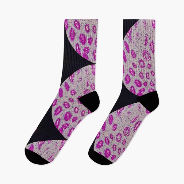 Item preview, Histology of stomach glands, human tissue, AB/PAS, 100x designed and sold by Psymier.