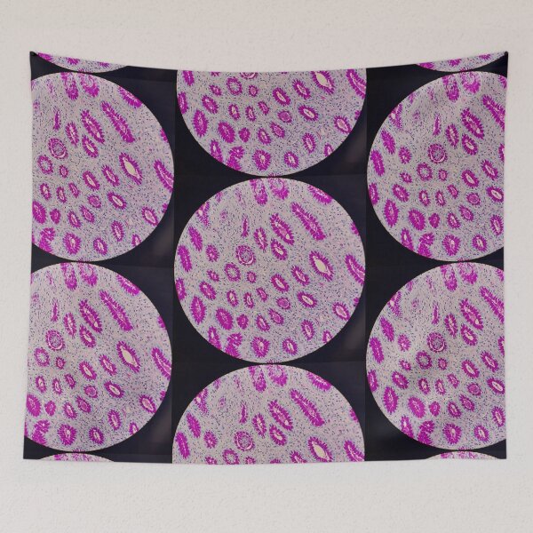 Item preview, Histology of stomach glands, human tissue, AB/PAS, 100x designed and sold by Psymier.
