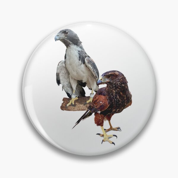 Item preview, Falcons designed and sold by obscurite.