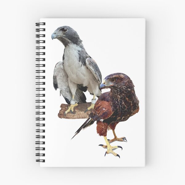 Item preview, Falcons designed and sold by obscurite.