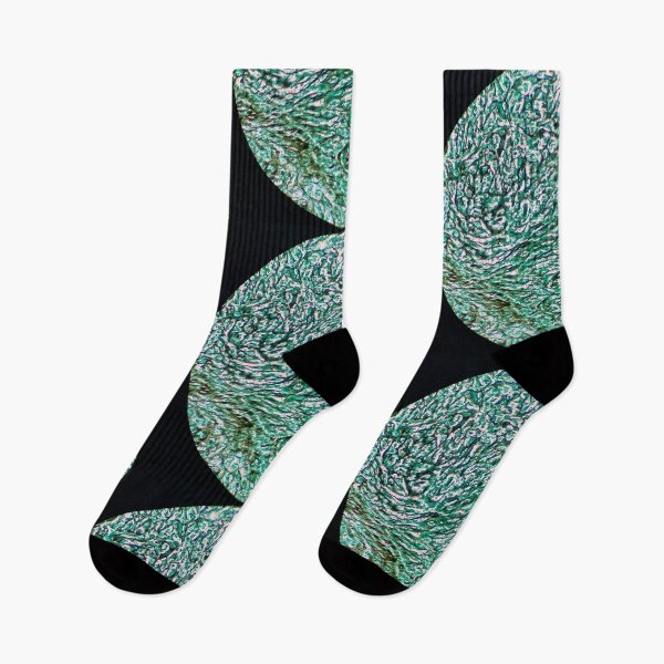 Item preview, Histology of fibrous connective tissue, human tissue, Grocott green, 20x designed and sold by Psymier.