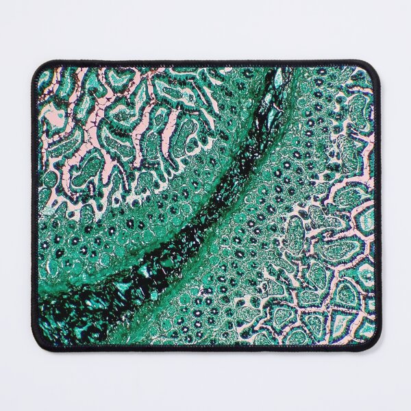 Item preview, Histology of small bowel, intestine, human tissue, Grocott green, 20x designed and sold by Psymier.