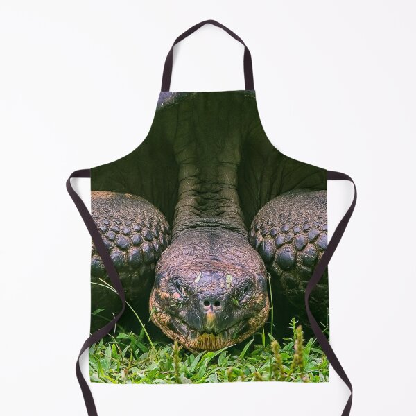 Item preview, Galápagos Tortoise close up designed and sold by iansmissenphoto.