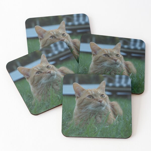 Item preview, orange cat designed and sold by meowsandstuff.