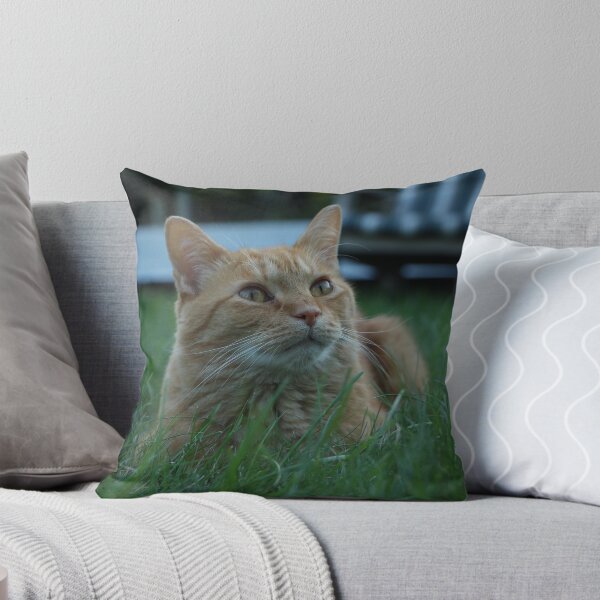 Item preview, orange cat designed and sold by meowsandstuff.
