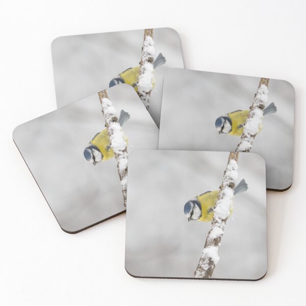 Item preview, Getting white around here. Eurasian blue tit designed and sold by Jouko Lehto Photography.