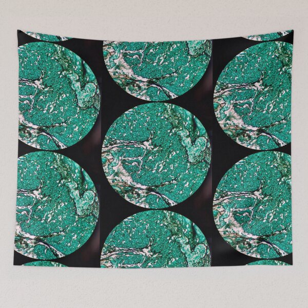 Item preview, Histology of fibroadipose, human tissue, Grocott green, 20x designed and sold by Psymier.