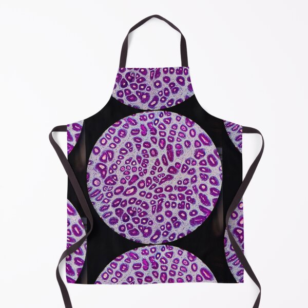 Item preview, Histology of stomach pits, glands, human tissue, AB/PAS, 20x designed and sold by Psymier.