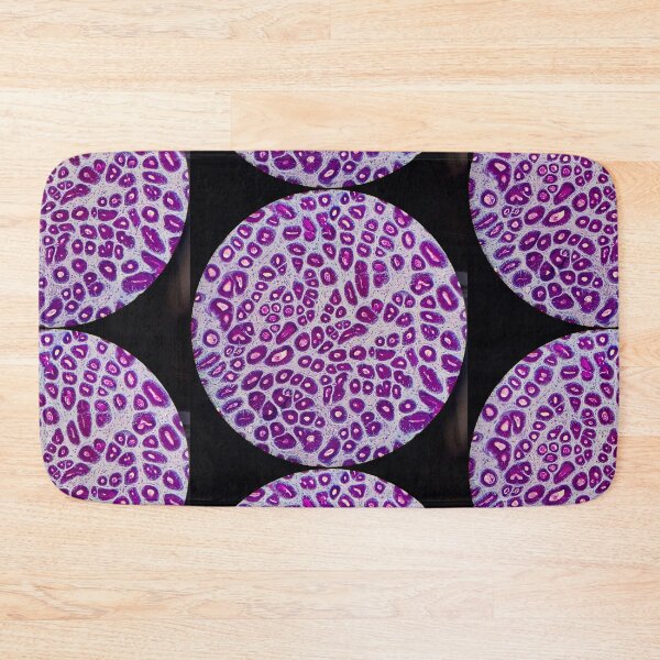 Item preview, Histology of stomach pits, glands, human tissue, AB/PAS, 20x designed and sold by Psymier.