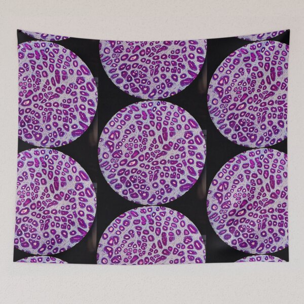 Item preview, Histology of stomach pits, glands, human tissue, AB/PAS, 20x designed and sold by Psymier.